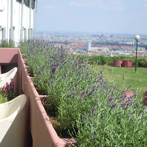 Palace Hostel Wiedeń
